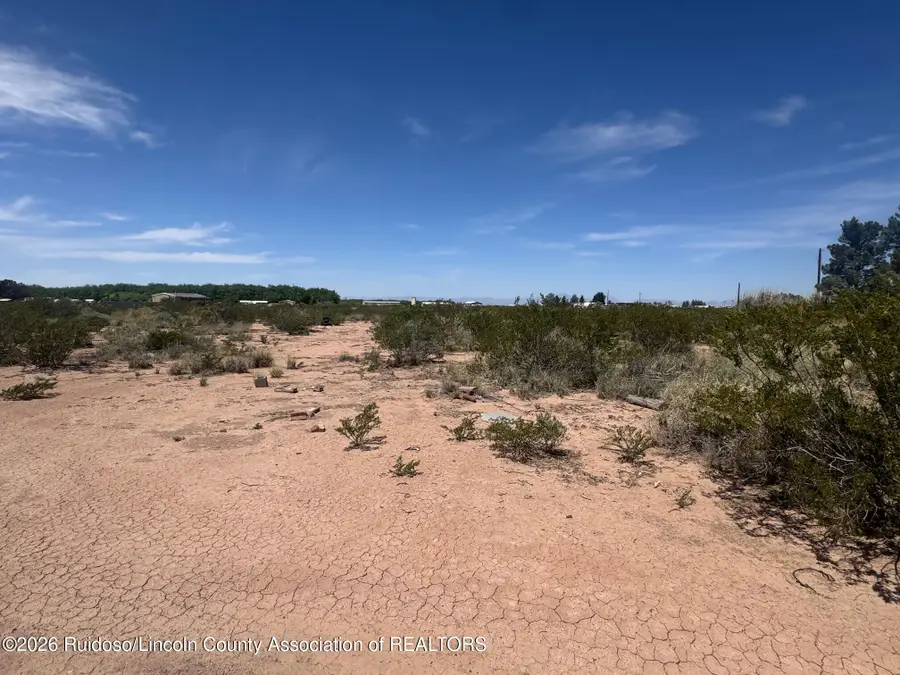 31 Albatros Road, Tularosa, NM 88352 - #2
