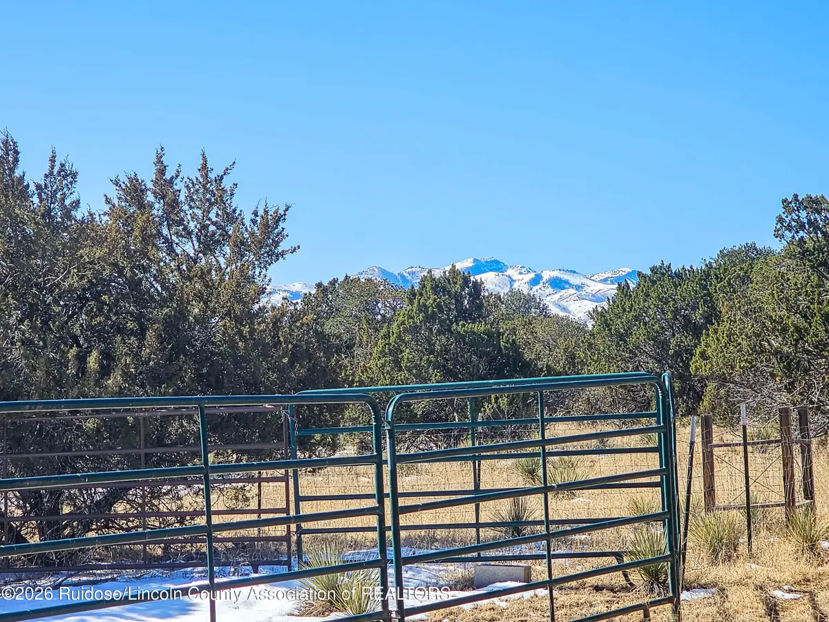 160 Main Road, Capitan, NM 88316 - #1