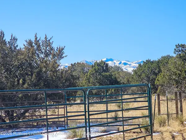 160 Main Road, Capitan, NM 88316