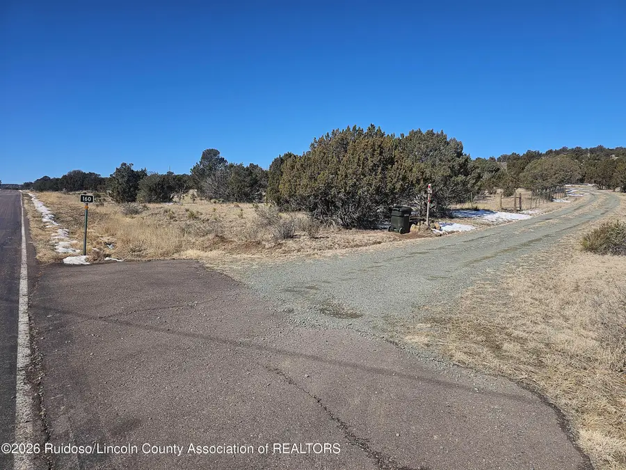 160 Main Road, Capitan, NM 88316 - #2