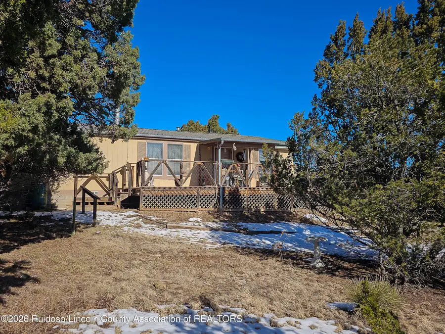 160 Main Road, Capitan, NM 88316 - #3