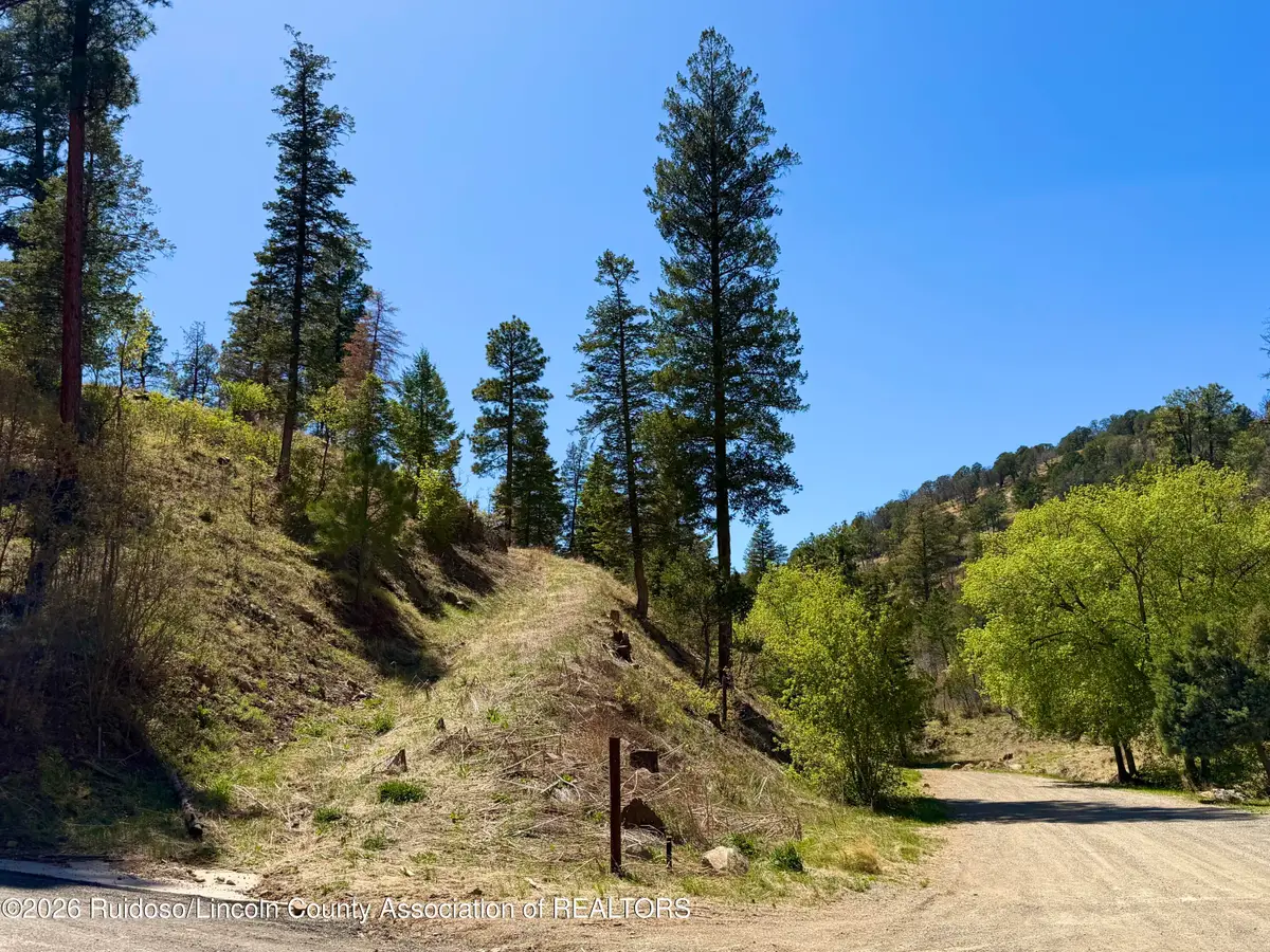 102 King Richard Drive, Ruidoso, NM 88345 - #1