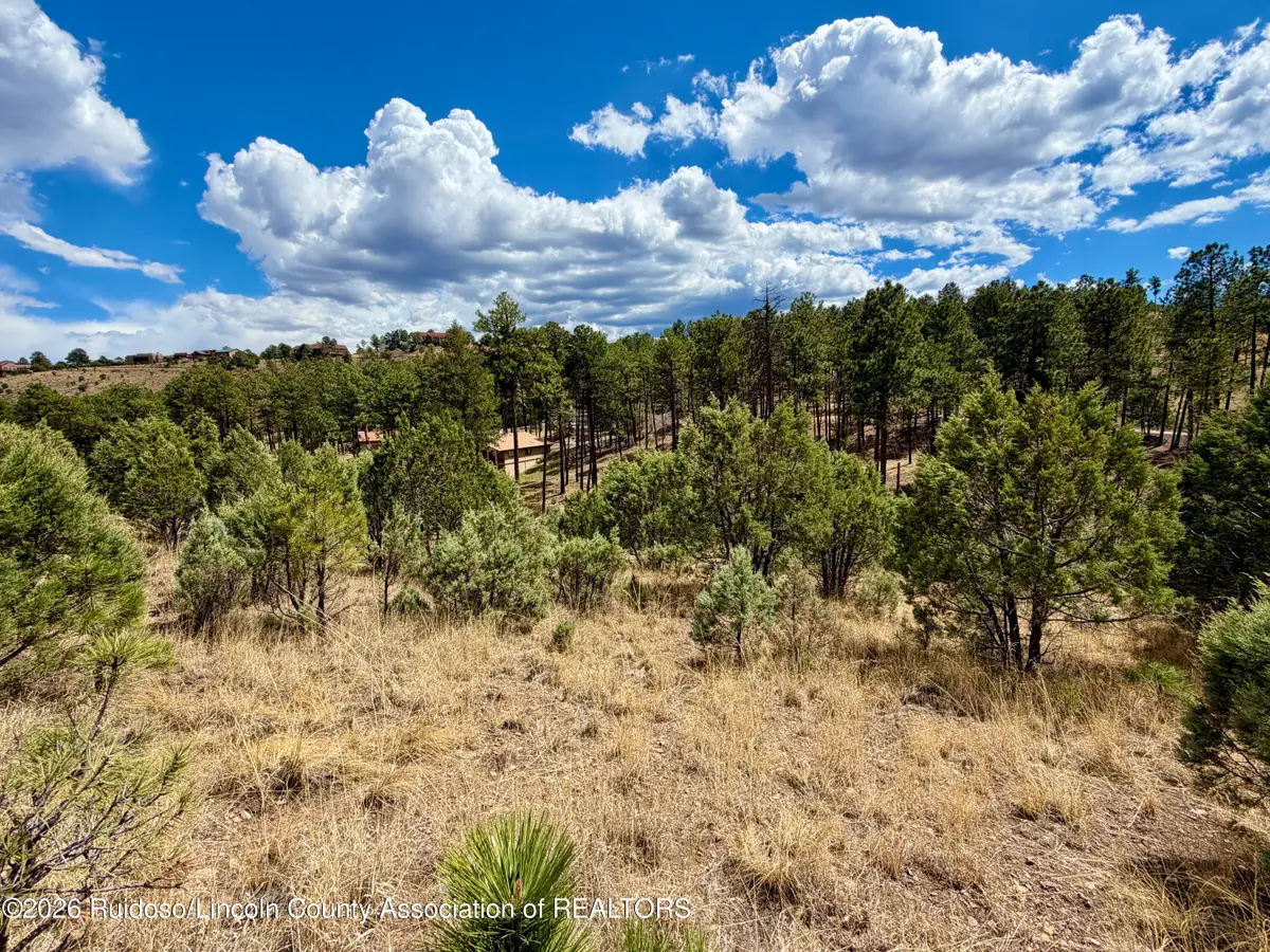 134 Stable Court, Alto, NM 88312 - #1