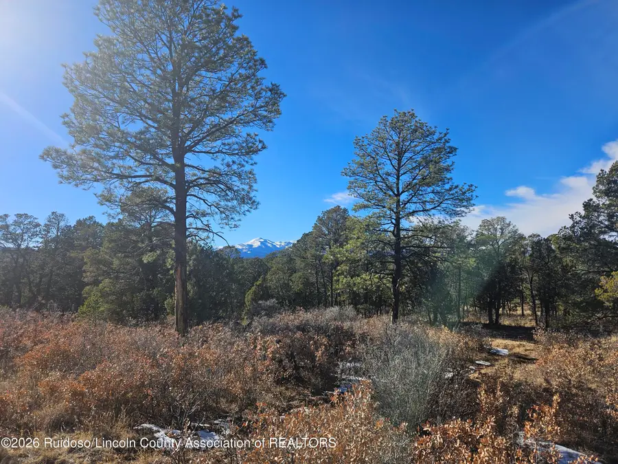 FS-120 Township 10s, Range 14e,sec.33, Ruidoso Downs, NM 88346 - #2