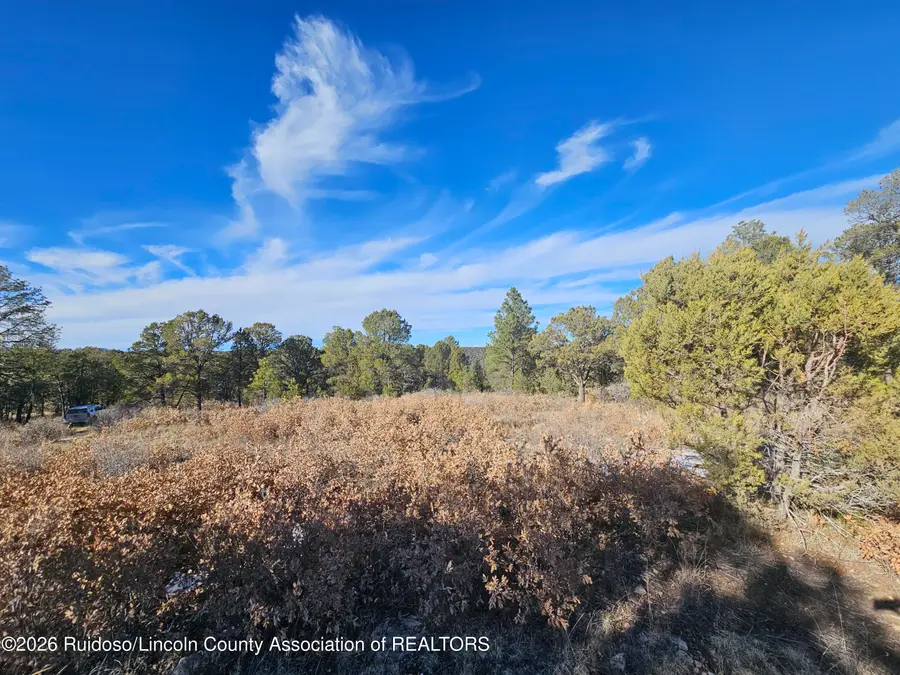 FS-120 Township 10s, Range 14e,sec.33, Ruidoso Downs, NM 88346 - #3