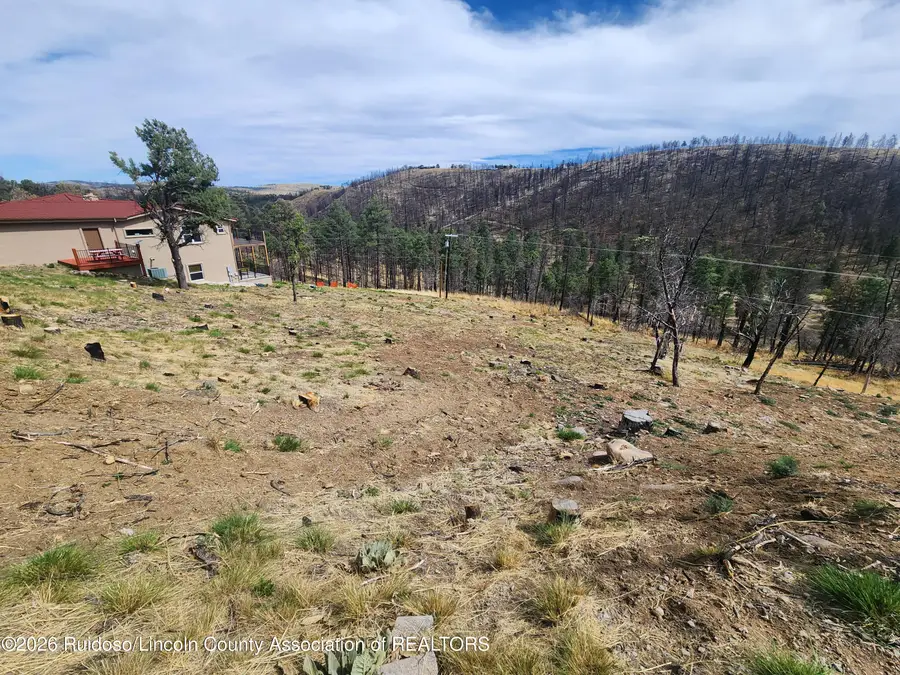L41 Lakeshore Drive, Alto, NM 88312 - #3