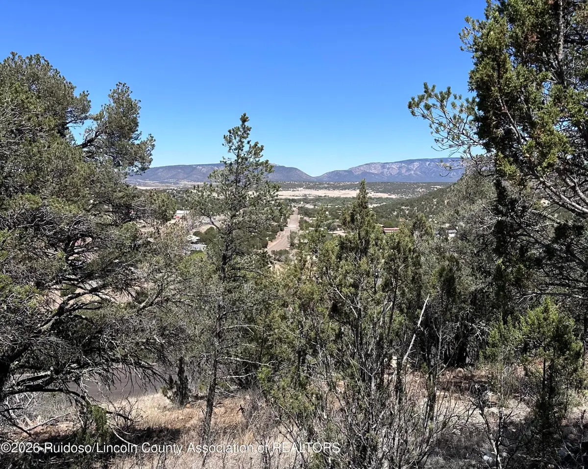 100,104 Promise Lane Lane, Capitan, NM 88316 - #1