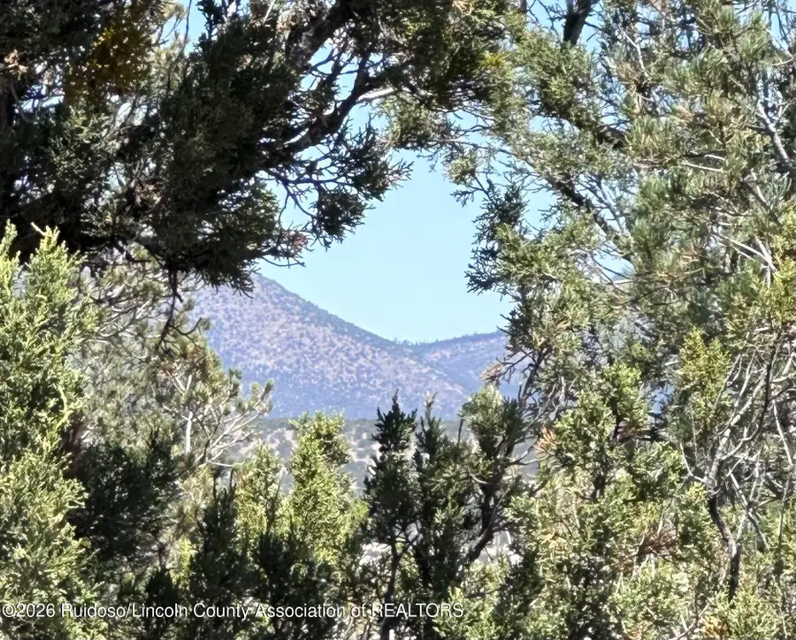 100,104 Promise Lane Lane, Capitan, NM 88316 - #2