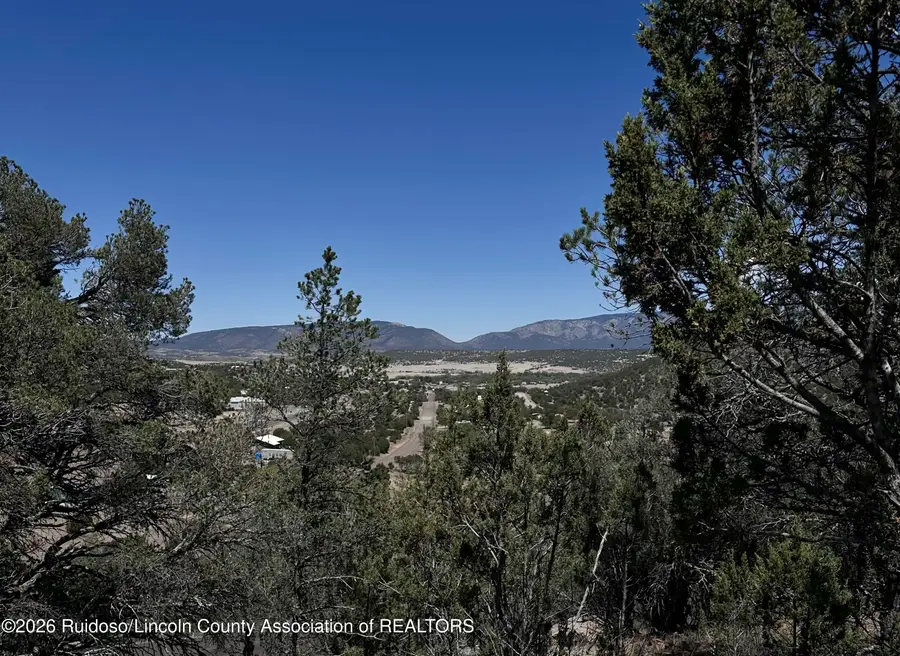 100,104 Promise Lane Lane, Capitan, NM 88316 - #3