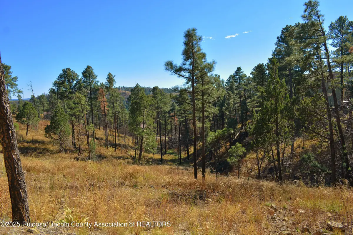 124 Crown Ridge Road, Alto, NM 88312 - #1