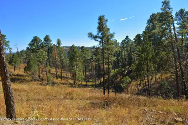 124 Crown Ridge Road, Alto, NM 88312