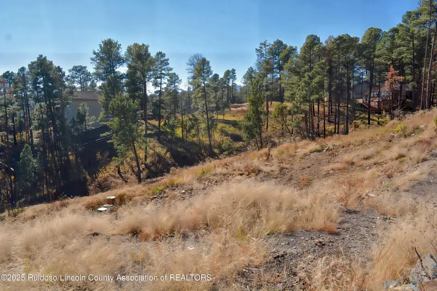 124 Crown Ridge Road, Alto, NM 88312 - #2