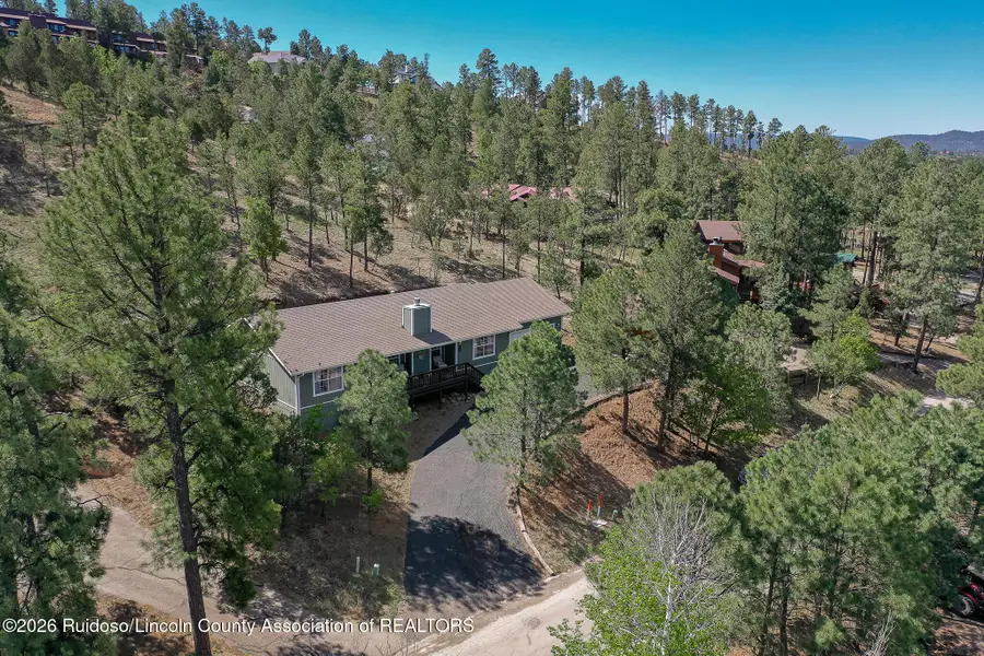 106 White Mountain Meadows Drive, Ruidoso, NM 88345 - #2