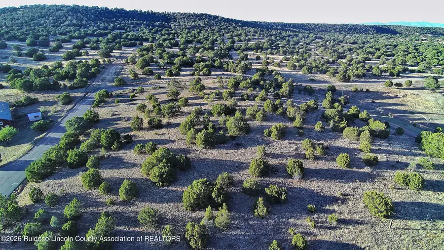 109 Shain, Alto, NM 88312 - #2