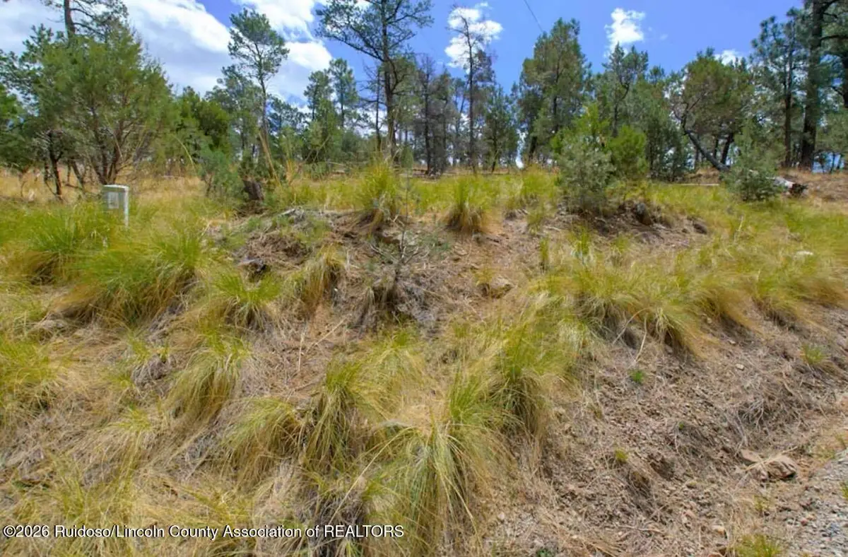 Lot 6 Pine Knot Trail, Alto, NM 88312 - #1