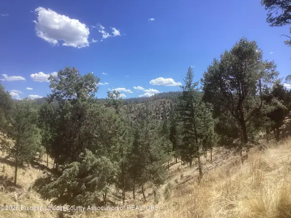 155 Whirlaway Drive, Ruidoso, NM 88345