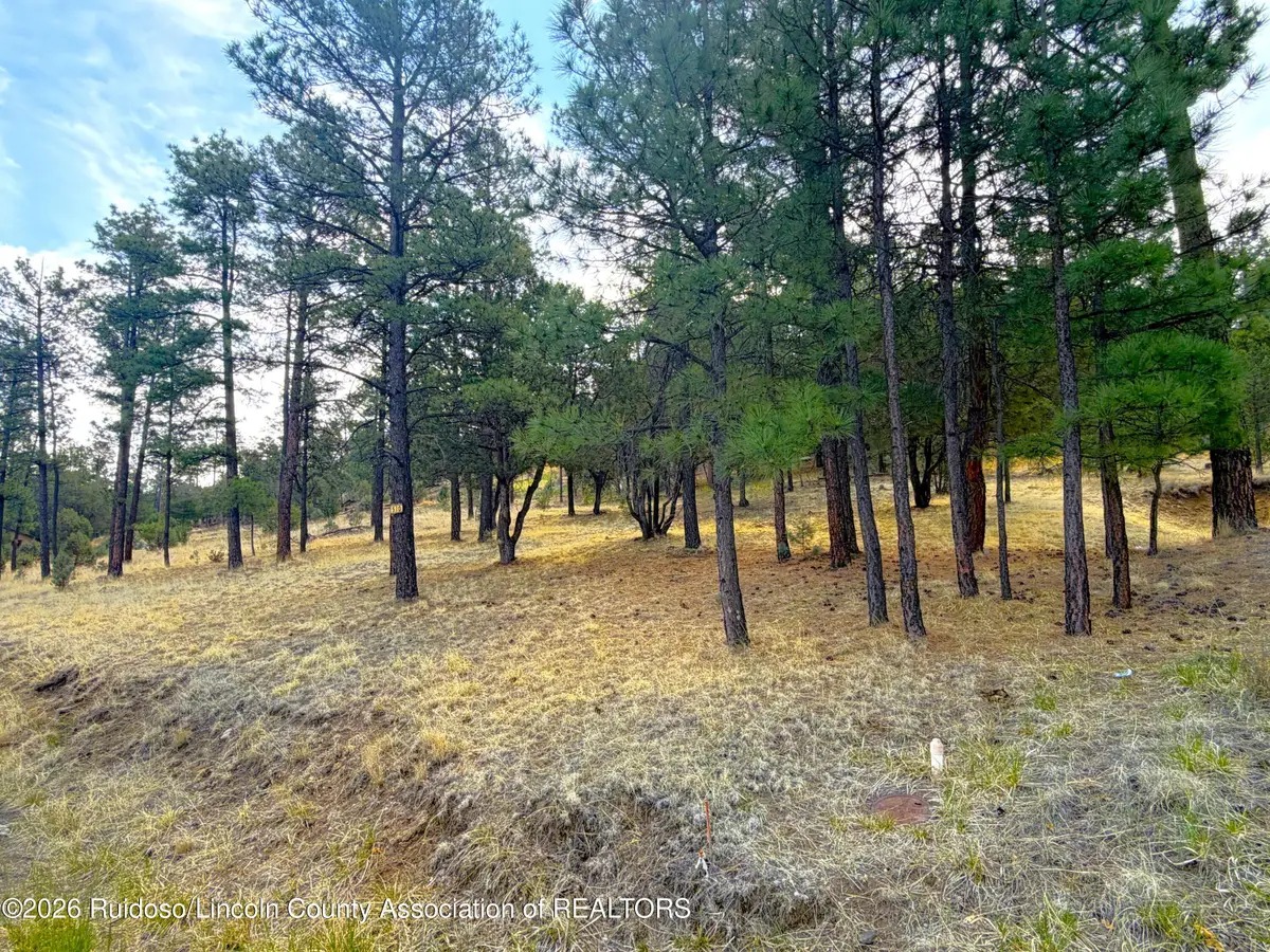 Lot 66 Fort Stanton Rd, Alto, NM 88312 - #1