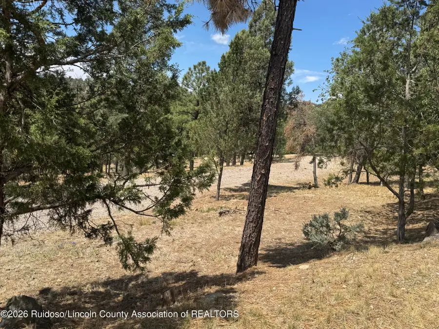 110 & 112 Silver Star Court, Ruidoso, NM 88345 - #3