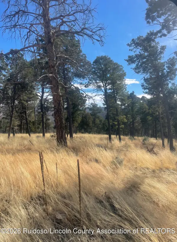 104 Merlyn Drive, Ruidoso, NM 88345