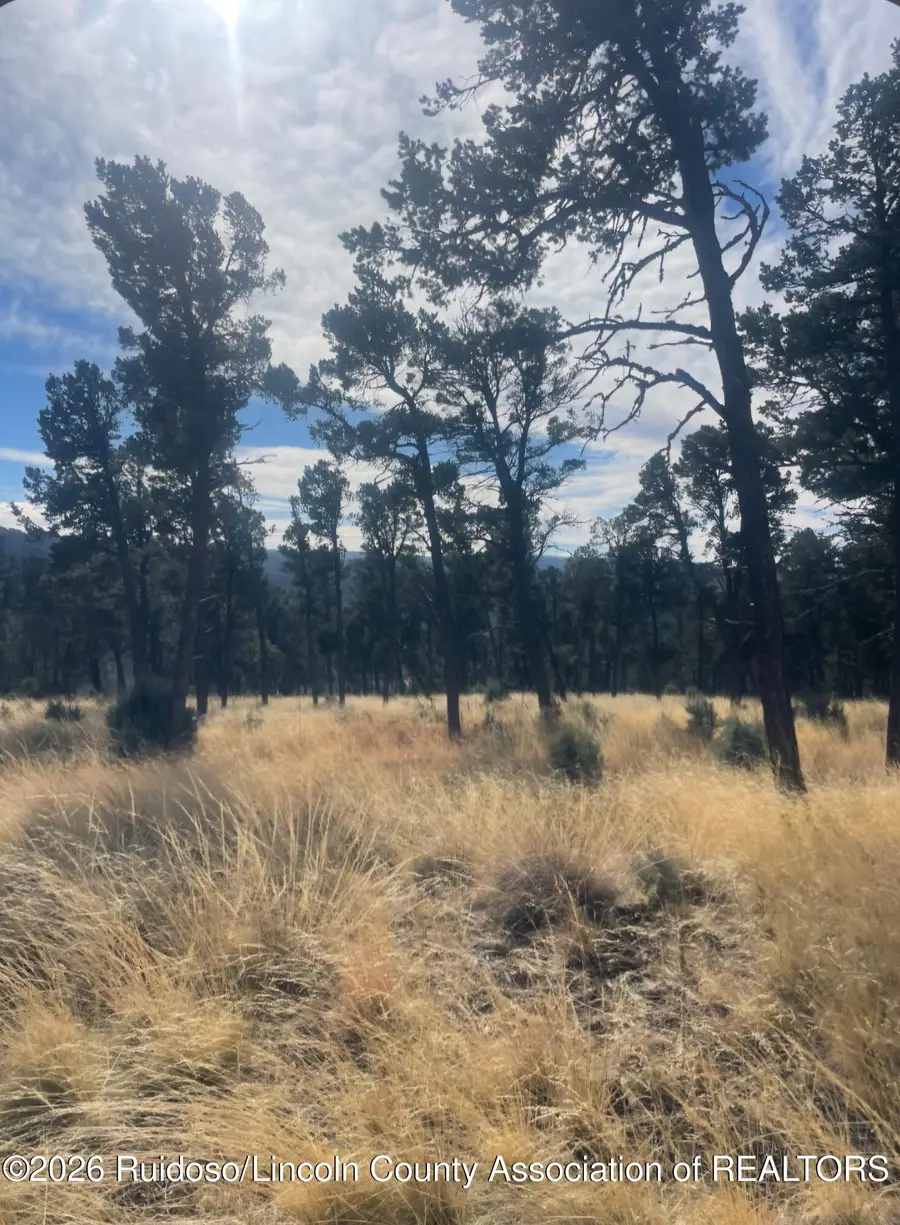 104 Merlyn Drive, Ruidoso, NM 88345 - #2