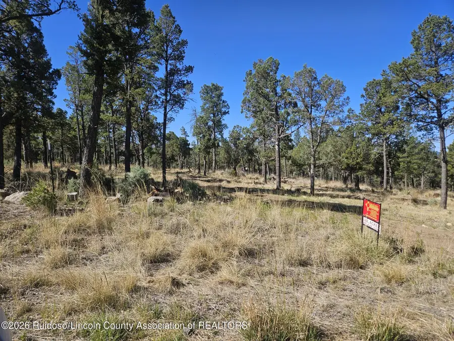 104 Merlyn Drive, Ruidoso, NM 88345 - #3