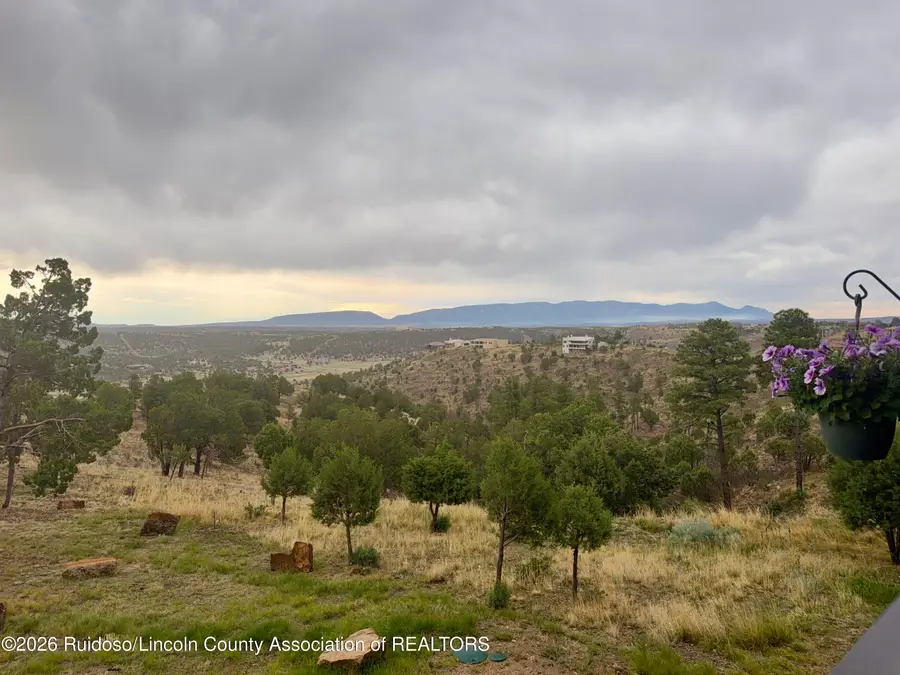 169A Lincoln Hills Drive, Alto, NM 88312 - #2
