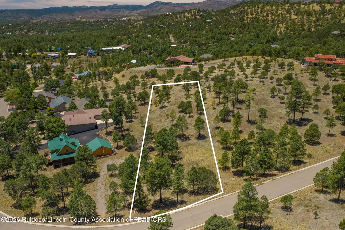 133 Charles Mcclellan Drive, Ruidoso, NM 88345 - #1