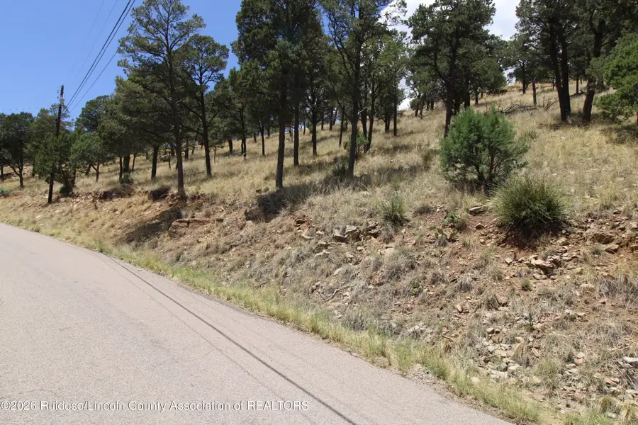 105 Valley View Circle, Ruidoso, NM 88345 - #2