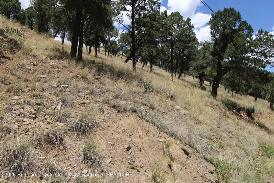 105 Valley View Circle, Ruidoso, NM 88345 - #3