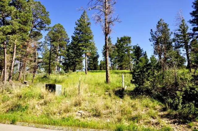 237 Cummings Drive, Ruidoso, NM 88345 - #2