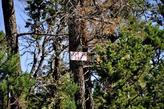 237 Cummings Drive, Ruidoso, NM 88345 - #3
