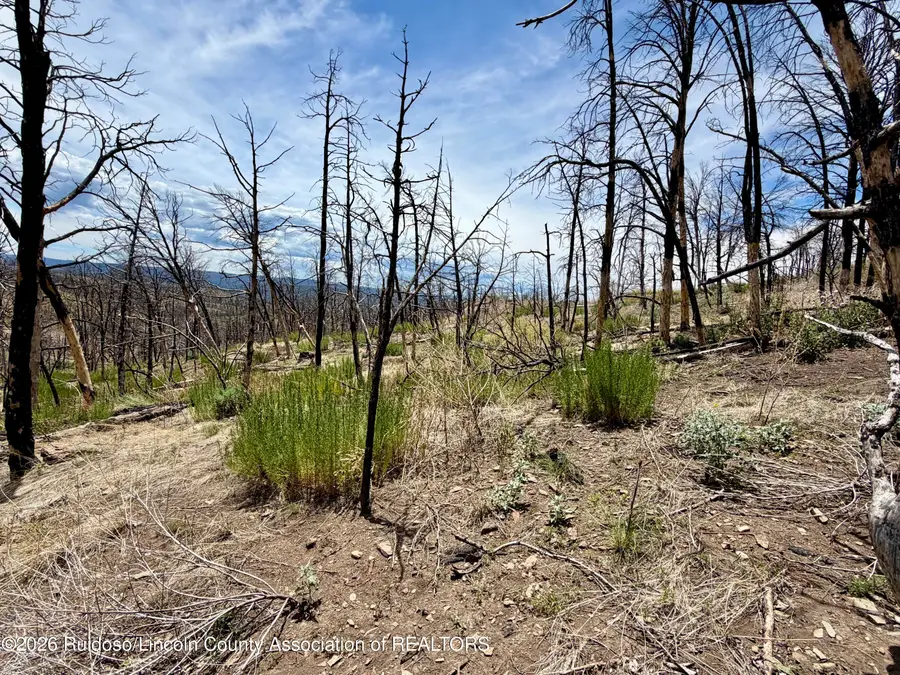 103 Mount Hood, Ruidoso, NM 88345 - #2