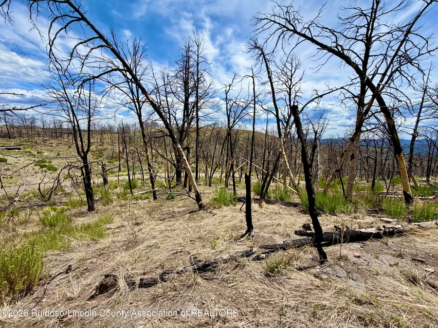 103 Mount Hood, Ruidoso, NM 88345 - #3
