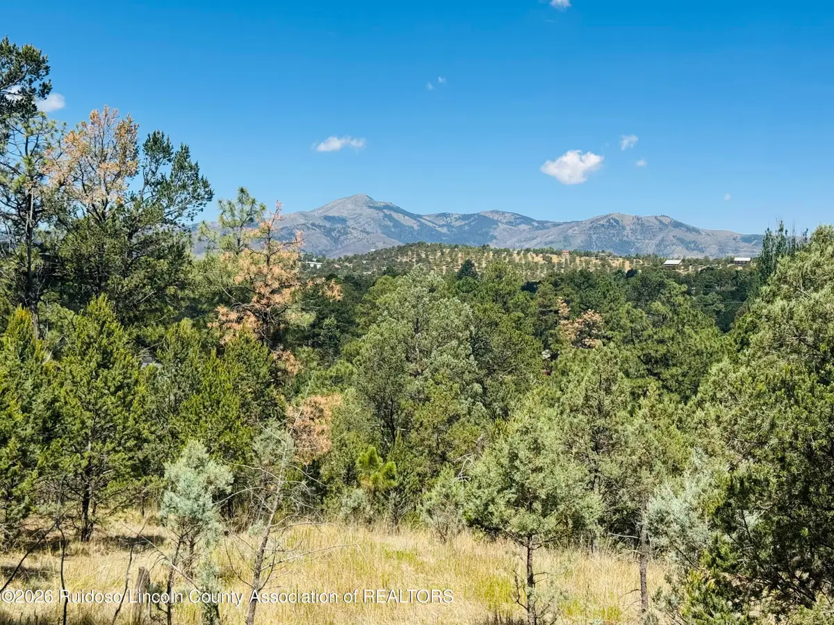112 Moccasin Trail, Ruidoso, NM 88345 - #1