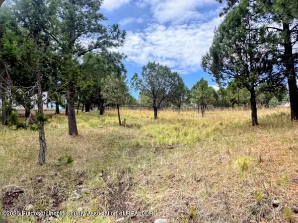 166 Eagle Ridge Road, Alto, NM 88312