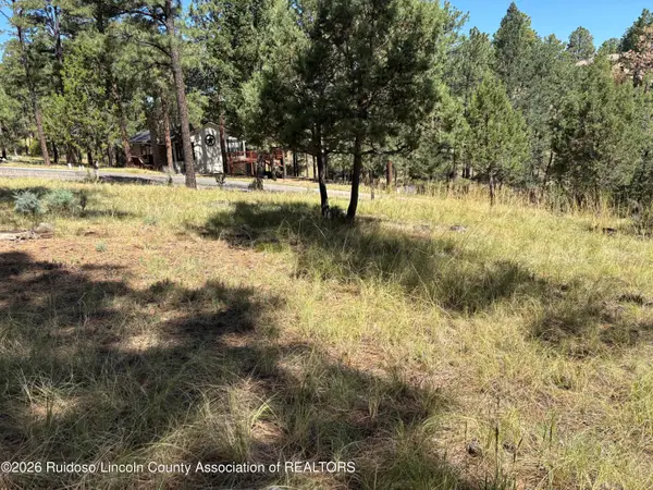 102 Twin Tree Loop, Alto, NM 88312