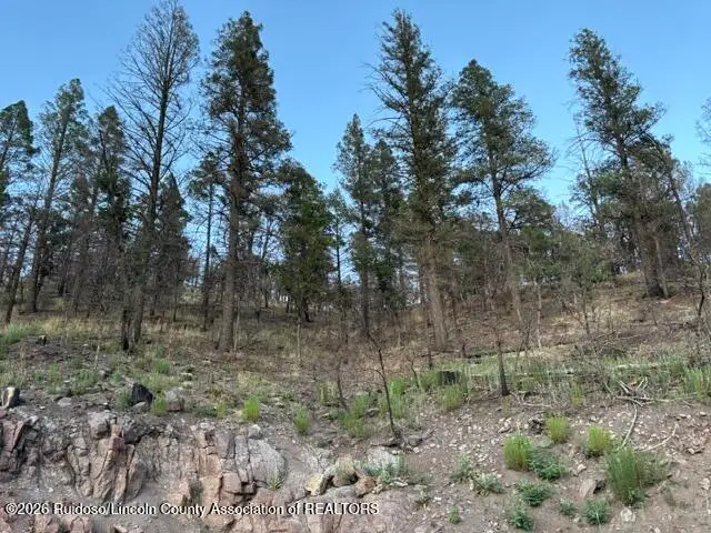 116 Musket Ball Drive, Ruidoso, NM 88345 - #2