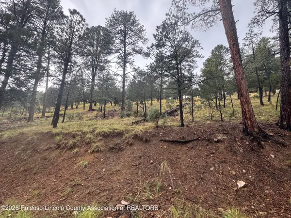 43 Alto Road, Alto, NM 88312