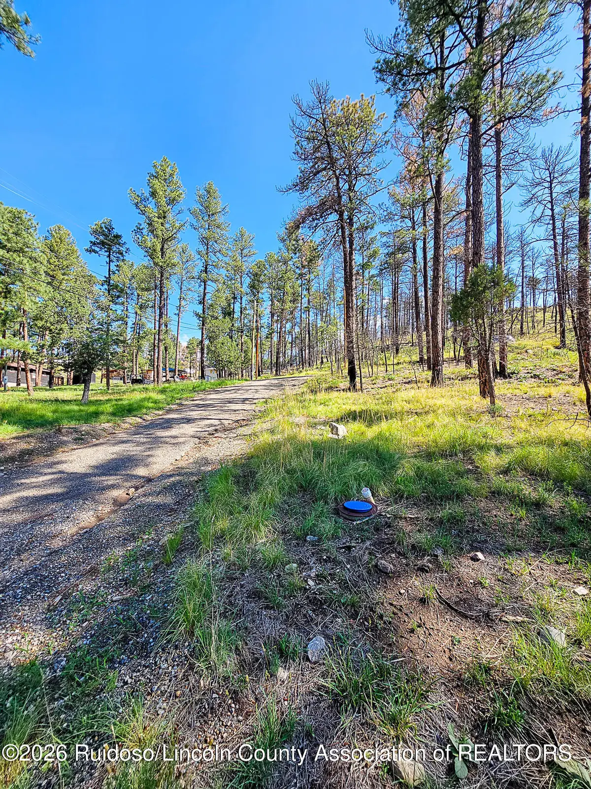 L21-25 Aschoff Trail, Ruidoso, NM 88345 - #1