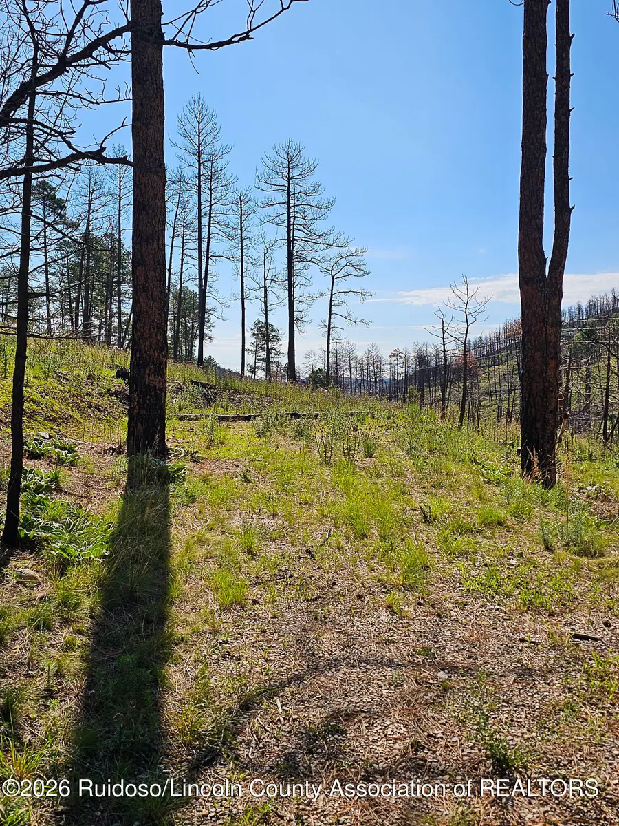 L21-25 Aschoff Trail, Ruidoso, NM 88345 - #2