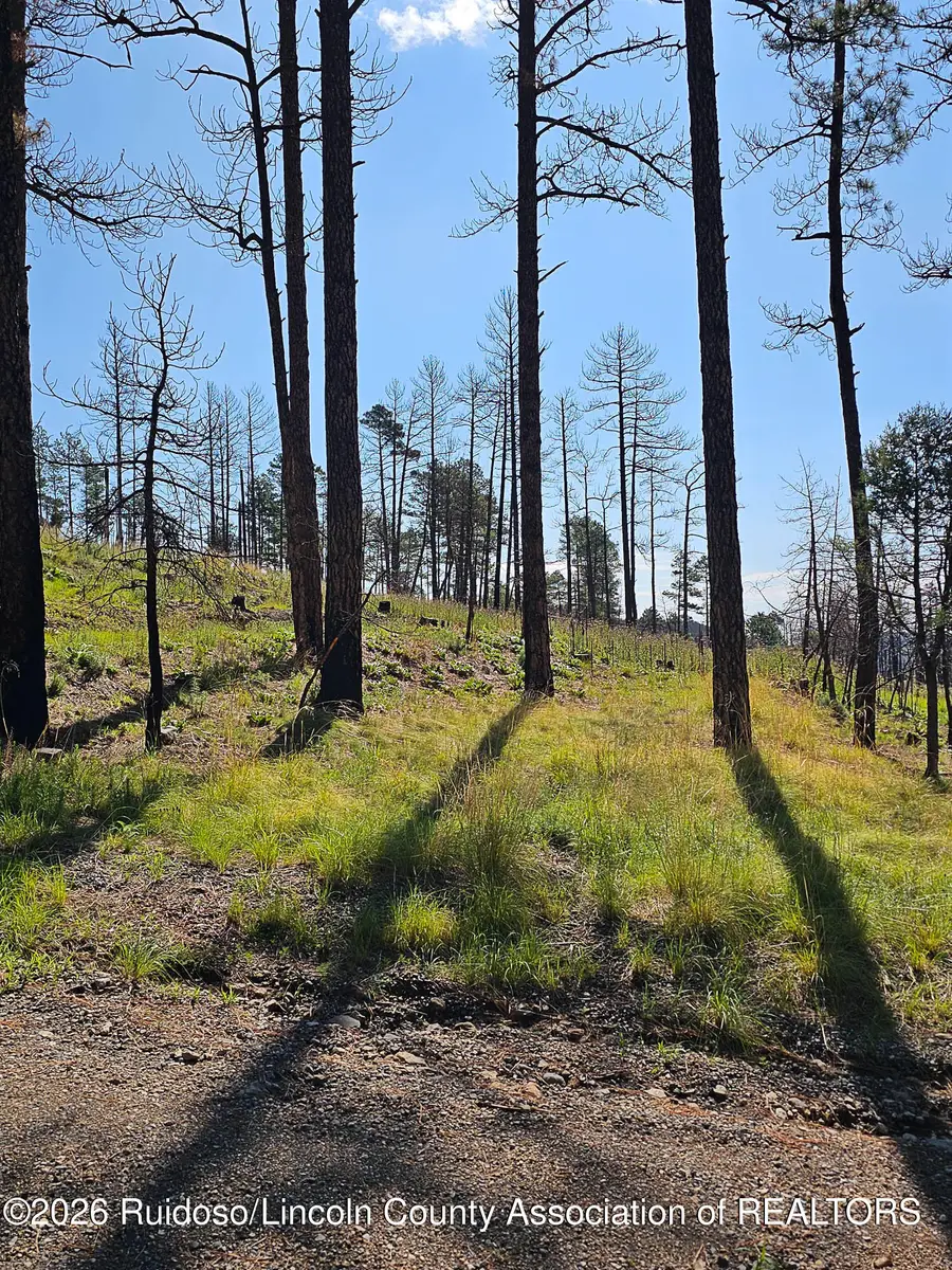 L21-25 Aschoff Trail, Ruidoso, NM 88345 - #3