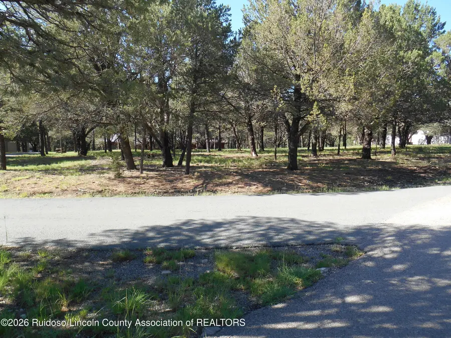 222 Deer Park Drive, Alto, NM 88312 - #2