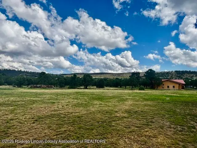 254 Cinch Court, Alto, NM 88312 - #1