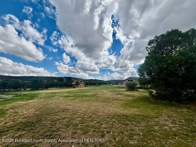 254 Cinch Court, Alto, NM 88312 - #3