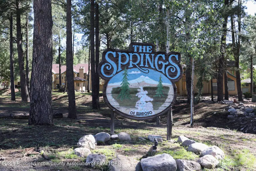 1230 Mechem Drive, Ruidoso, NM 88345 - #2