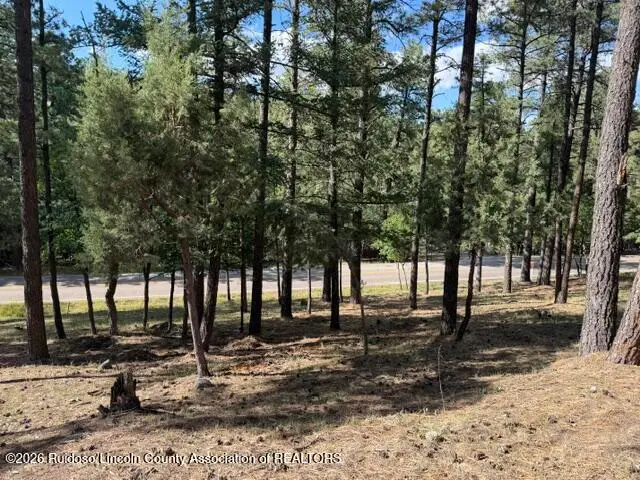 Lot 62 Fort Stanton Rd., Alto, NM 88312 - #2