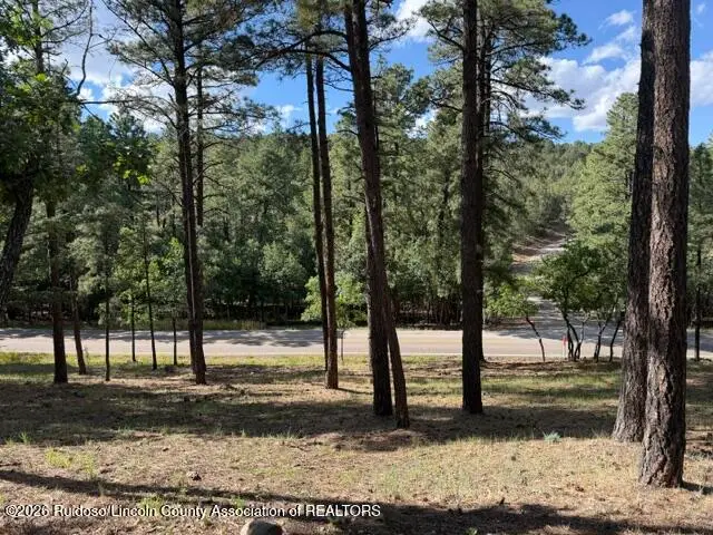 Lot 62 Fort Stanton Rd., Alto, NM 88312 - #3