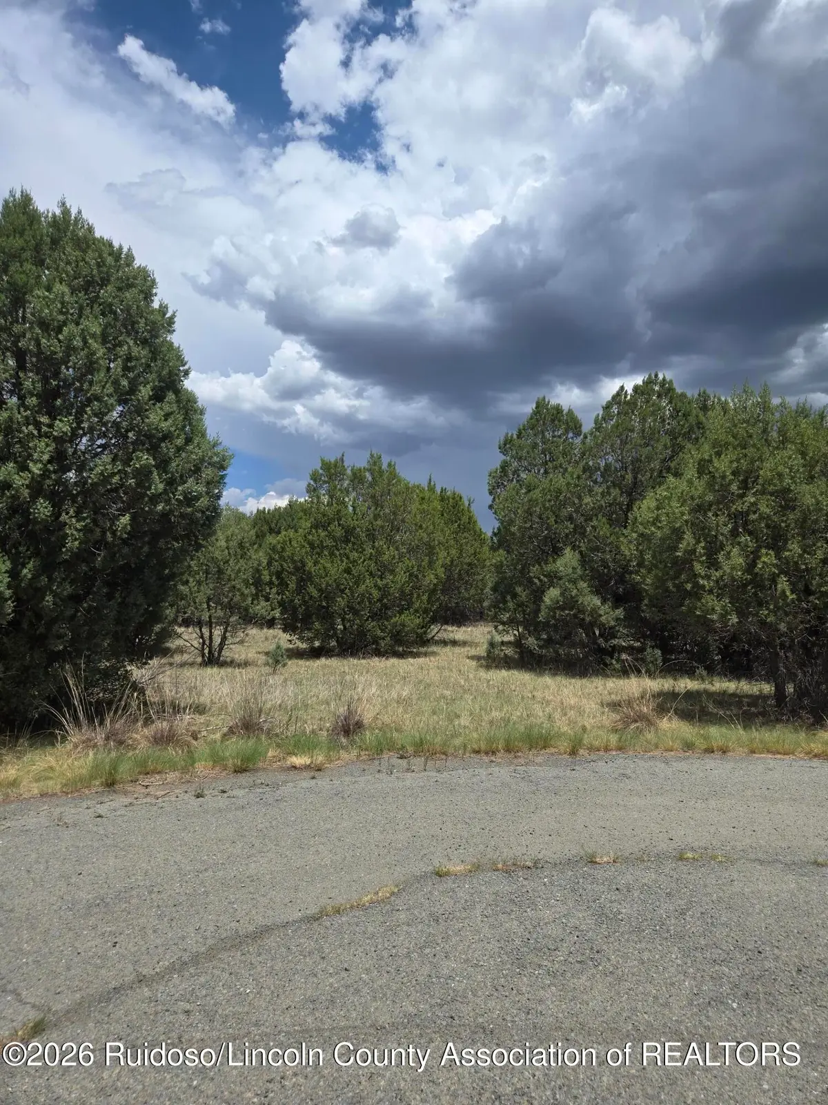 Lot 221 Antler Drive, Alto, NM 88312 - #1