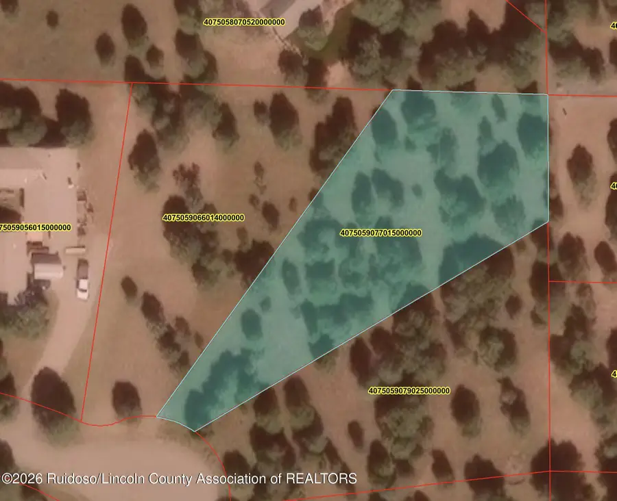 Lot 221 Antler Drive, Alto, NM 88312 - #3