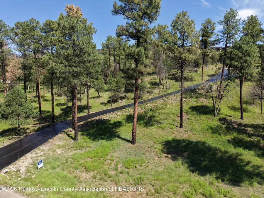 186 Deer Creek Road, Ruidoso, NM 88345 - #2